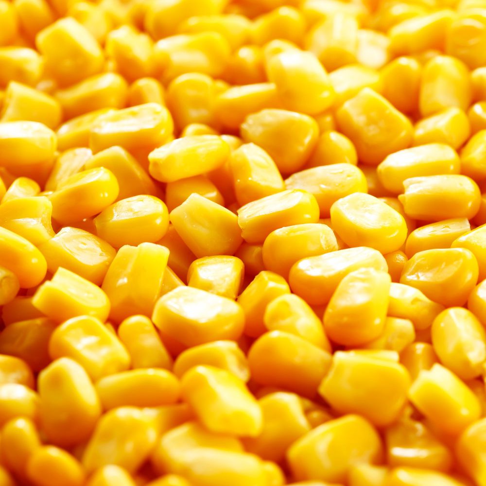 Brazilian yellow corn