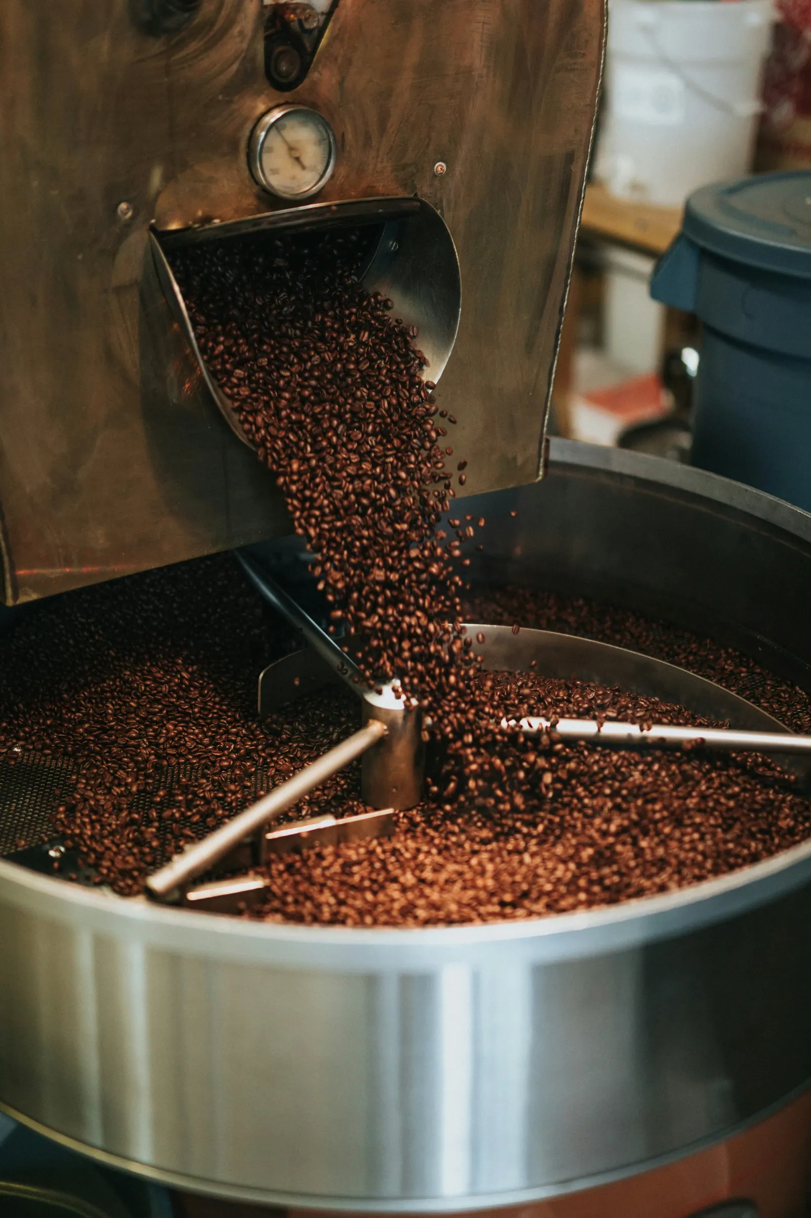 Roasted coffee moving from processing equipment