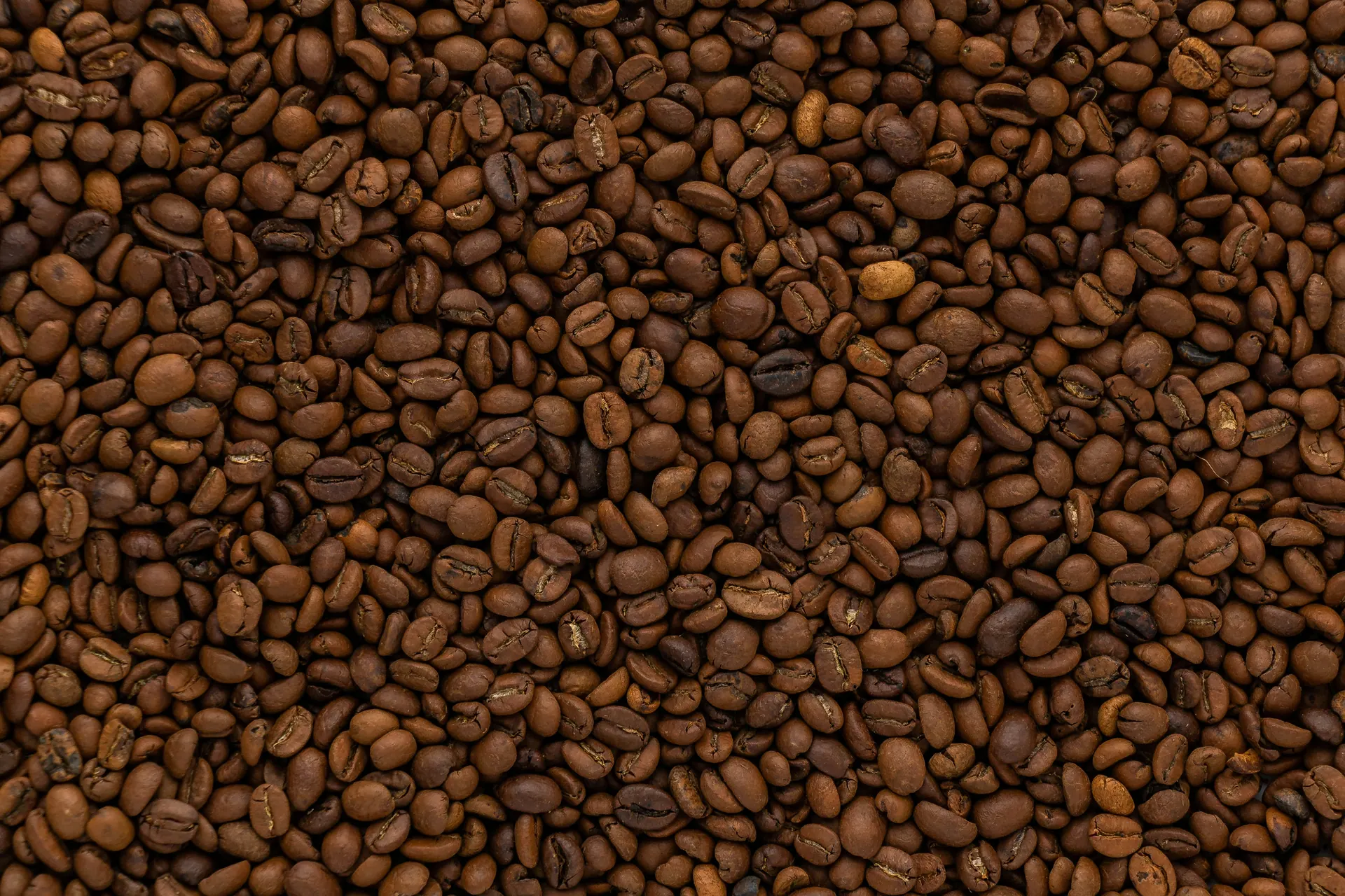 Roasted coffee beans forming a richly textured surface