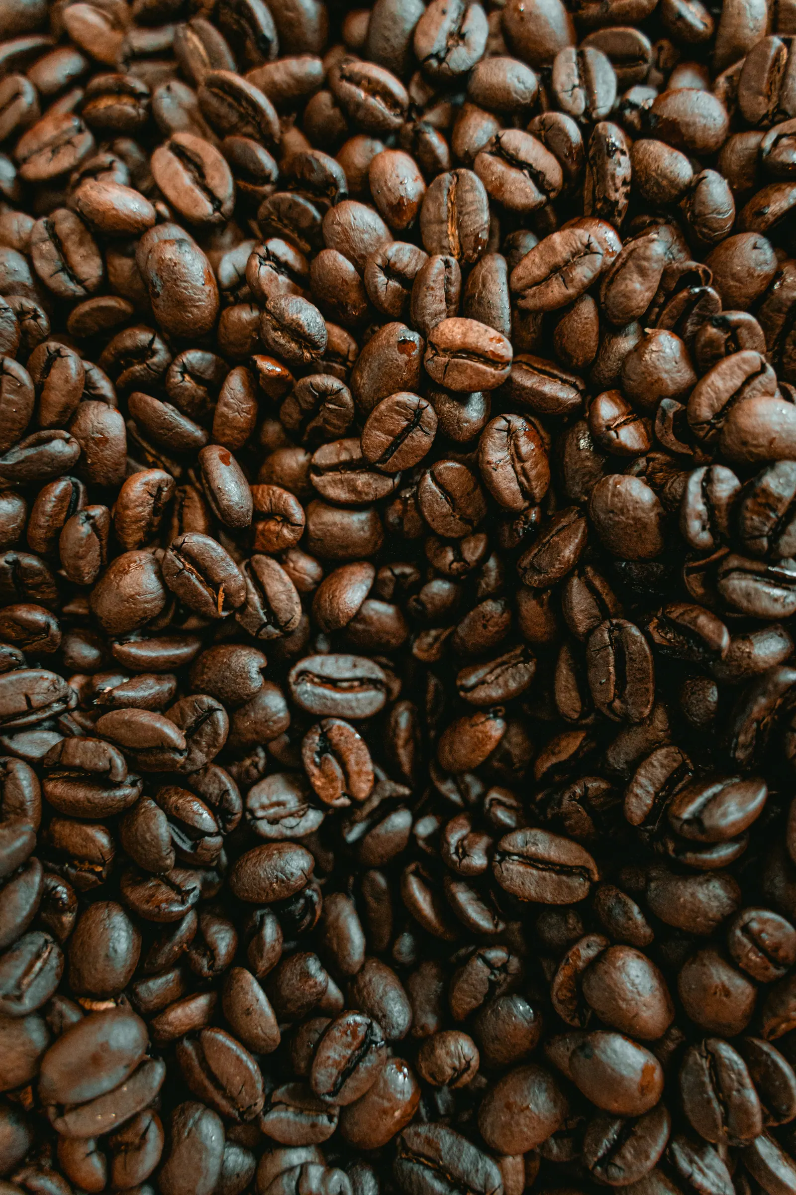 Roasted coffee beans viewed at close range